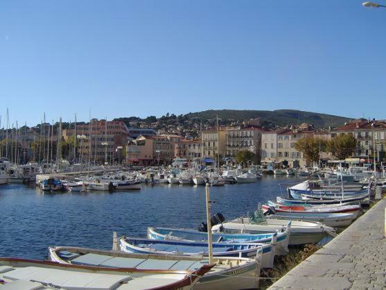 Appart. 4 Pers A 6 Kms De Cassis Avec Acces Piscine 로크포르라베둘 외부 사진