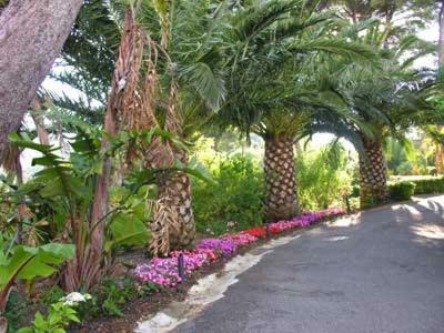 Appart. 4 Pers A 6 Kms De Cassis Avec Acces Piscine 로크포르라베둘 외부 사진